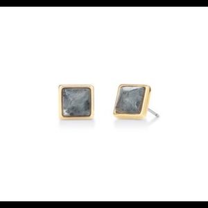 Stella & Dot Keep Collective Lavrikite Earrings